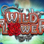 Wild Flower de Big Time Gaming